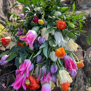 Bårebuket - knitrende tulipaner