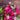 Buket - Pinky girly